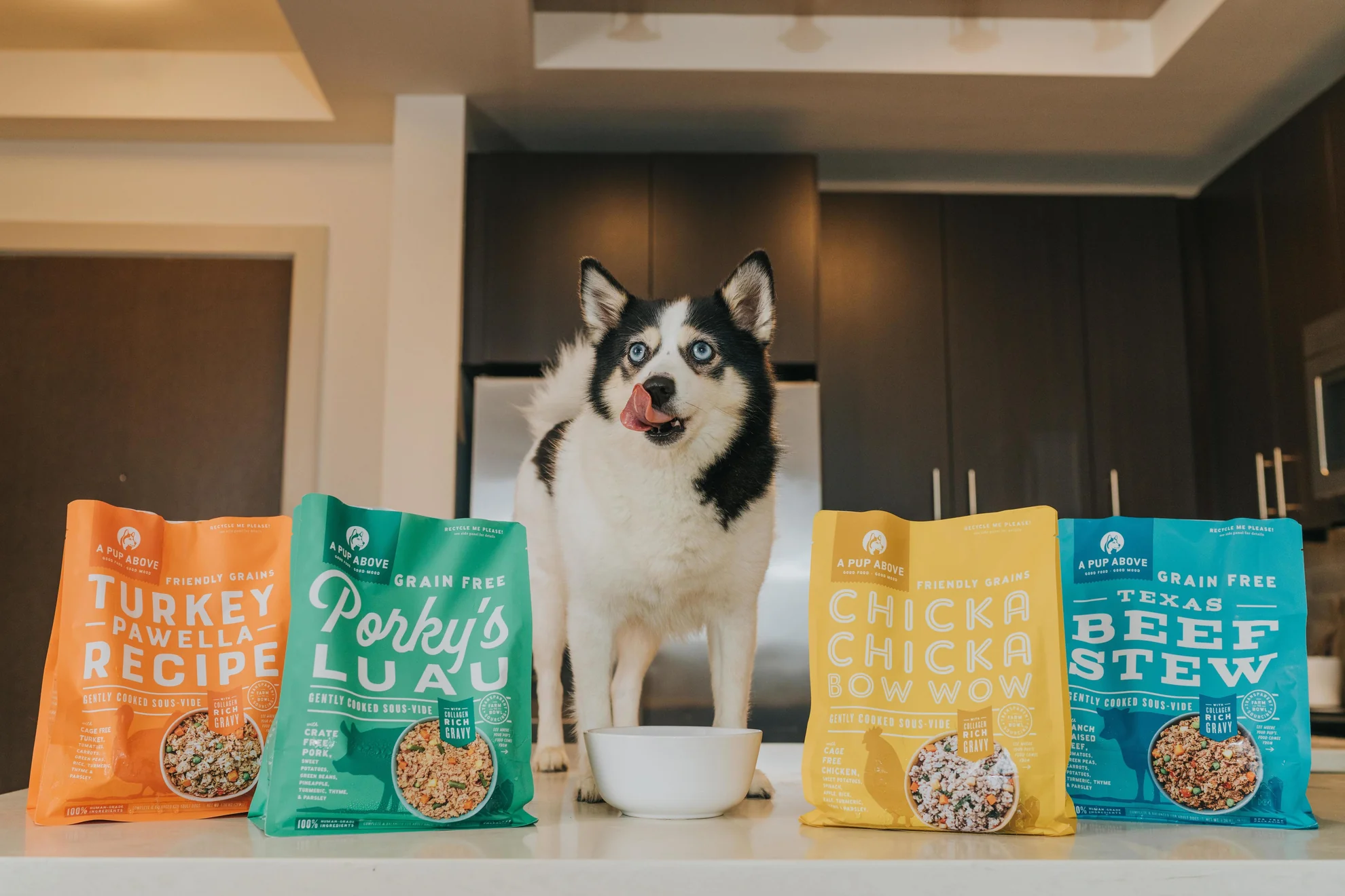 Why Pet Parents Are Loving Gently Cooked Pet Food Brookside