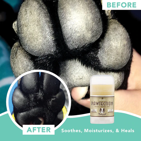 Natural Dog Company Pawtection Paw Balm